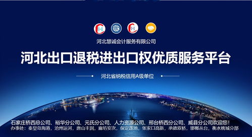 河北进出口公司注册、对外贸易备案与网上贸易代理指南